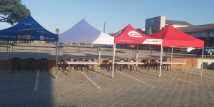 Neecos fiesta Gazebos